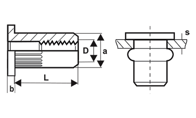 PIULITE-NIT INGROPATE CAP LAT, OTEL – BRALO: X3711…