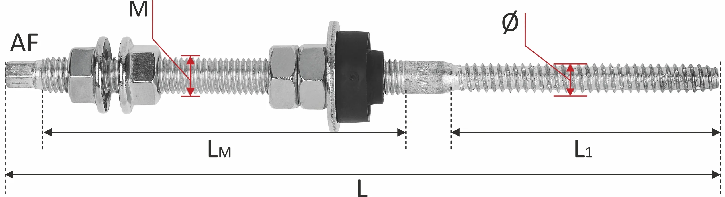 RWA22 - Hex shank dual thread (machine + self tapping) screw, in A2-70 stainless steel (AISI 304) detaliu 4